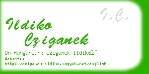 ildiko cziganek business card